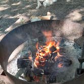 Review photo of Cowan Lake State Park Campground by Lawrence L., July 11, 2021