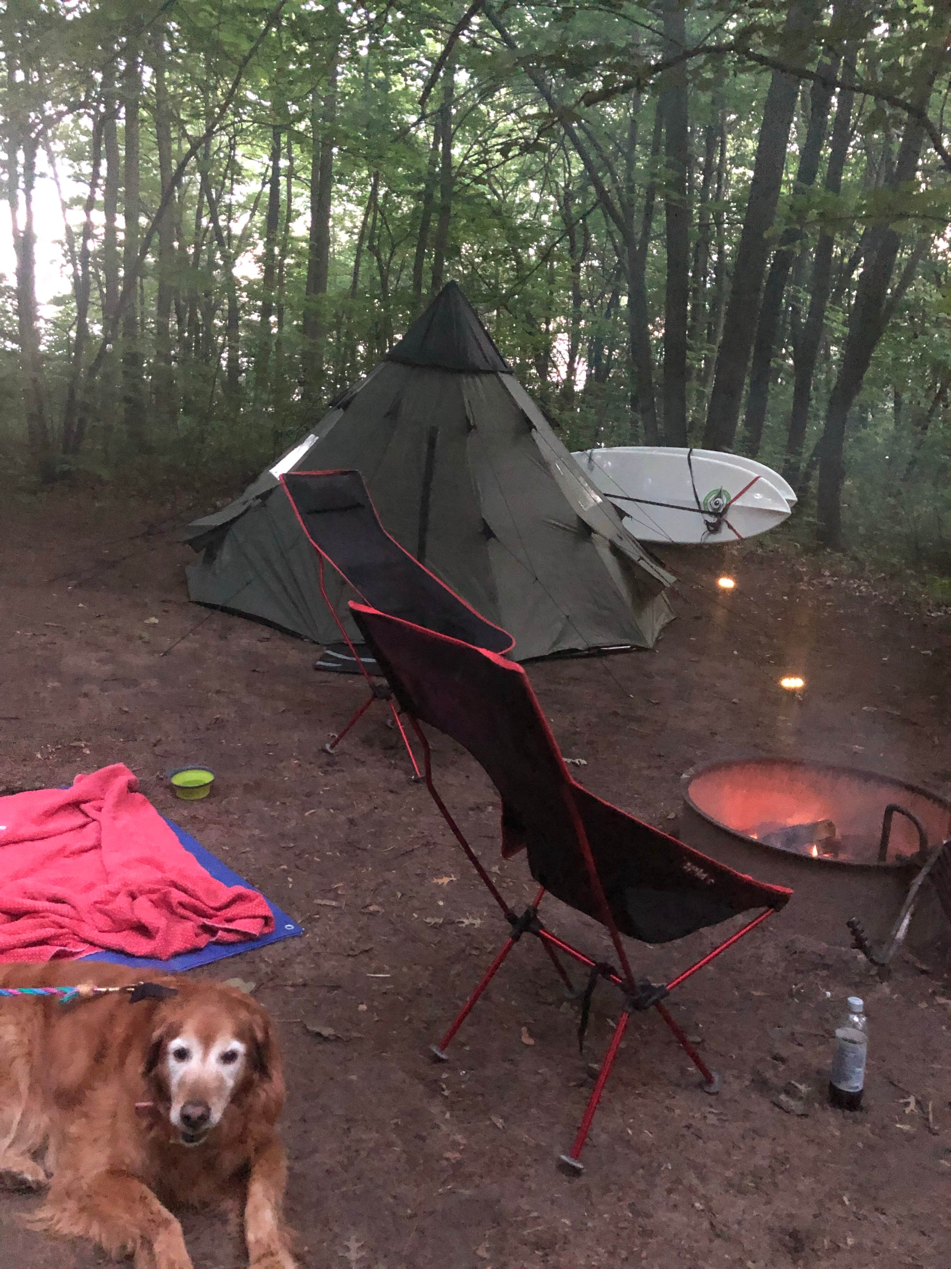 Donella L.'s photo of camping with pets at Lake Wissota State Park Campground near Ladysmith, WI