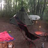 Review photo of Lake Wissota State Park Campground by Donella L., July 11, 2021