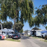 Review photo of Flying Flags RV Resort by Tonya C., July 11, 2021