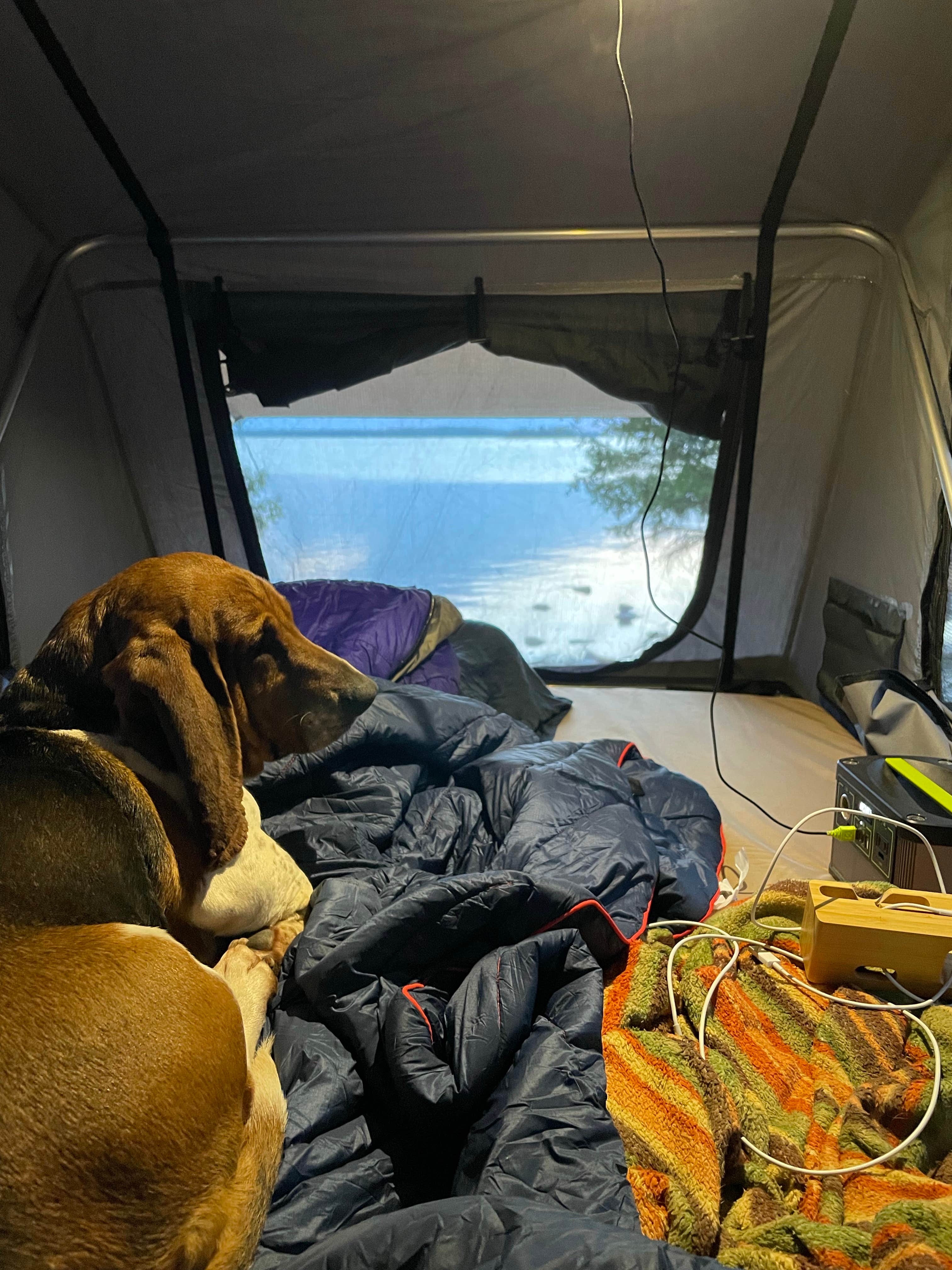 Brian N.'s photo of camping with pets at Drummond Island Township Park Campground near De Tour Village, MI