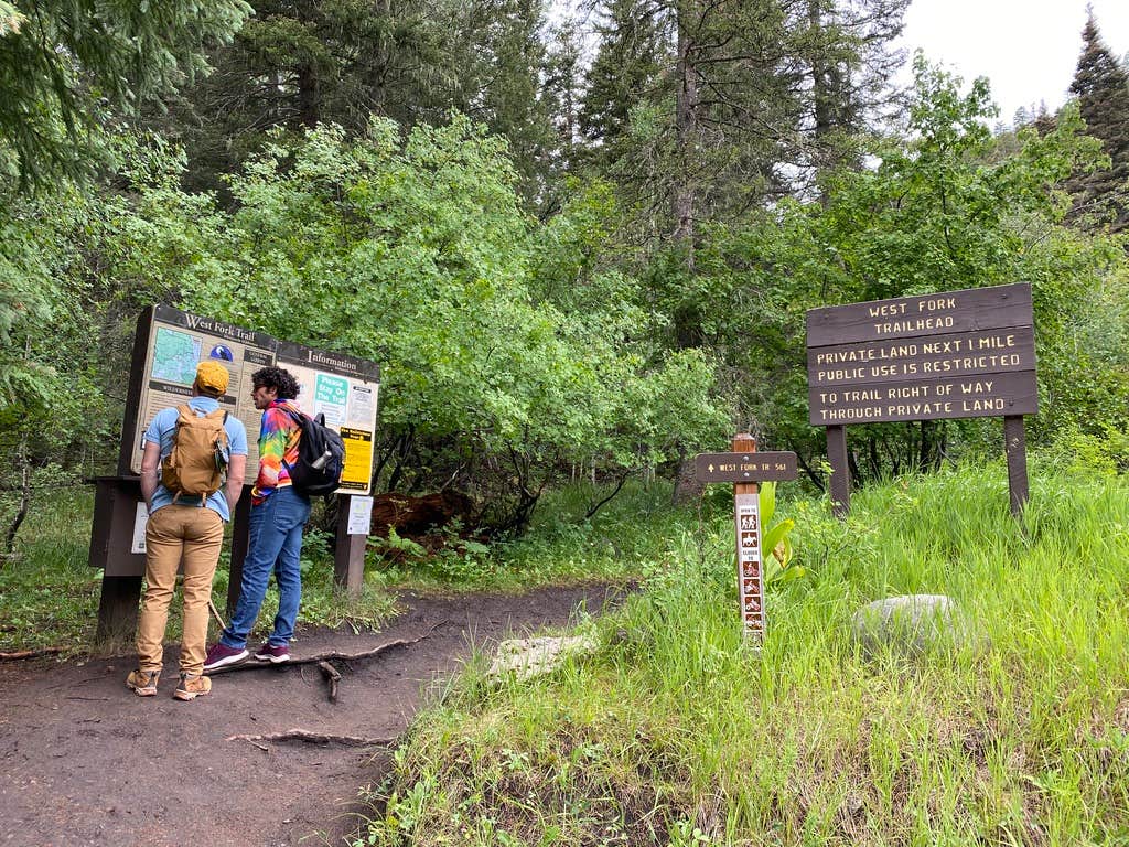 Camper submitted image from West Fork Campground - 3