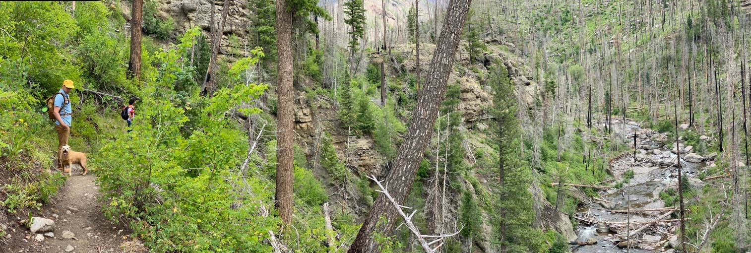 Camp Comet's photo of camping with pets at West Fork Campground near Pagosa Springs, CO