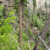 Review photo of West Fork Campground by Camp Comet , July 11, 2021