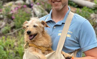 Camp Comet's photo of camping with pets at West Fork Campground near Pagosa Springs, CO