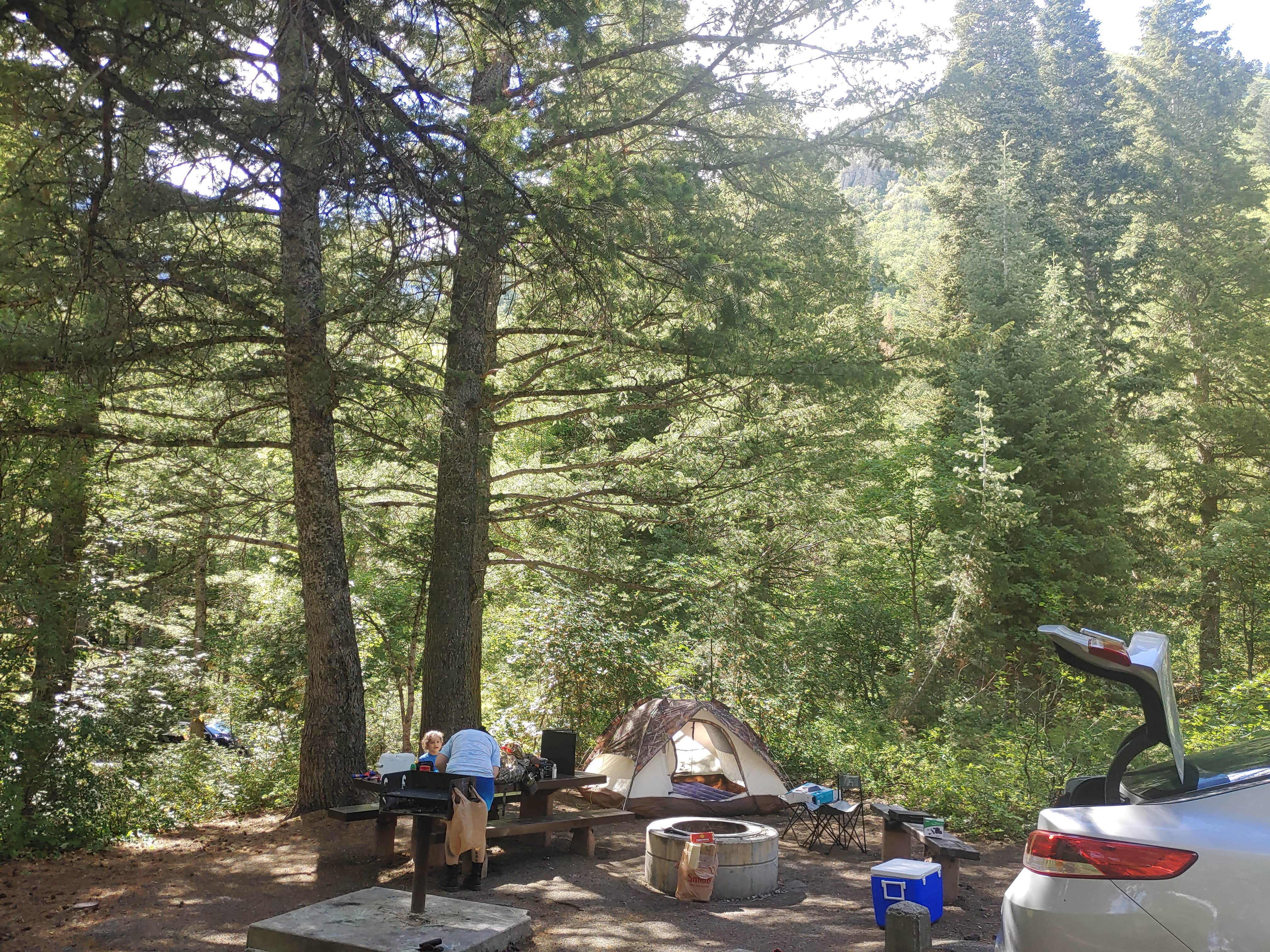 Eric F.'s photo at Mt. Timpanogos near Mutual Dell, UT