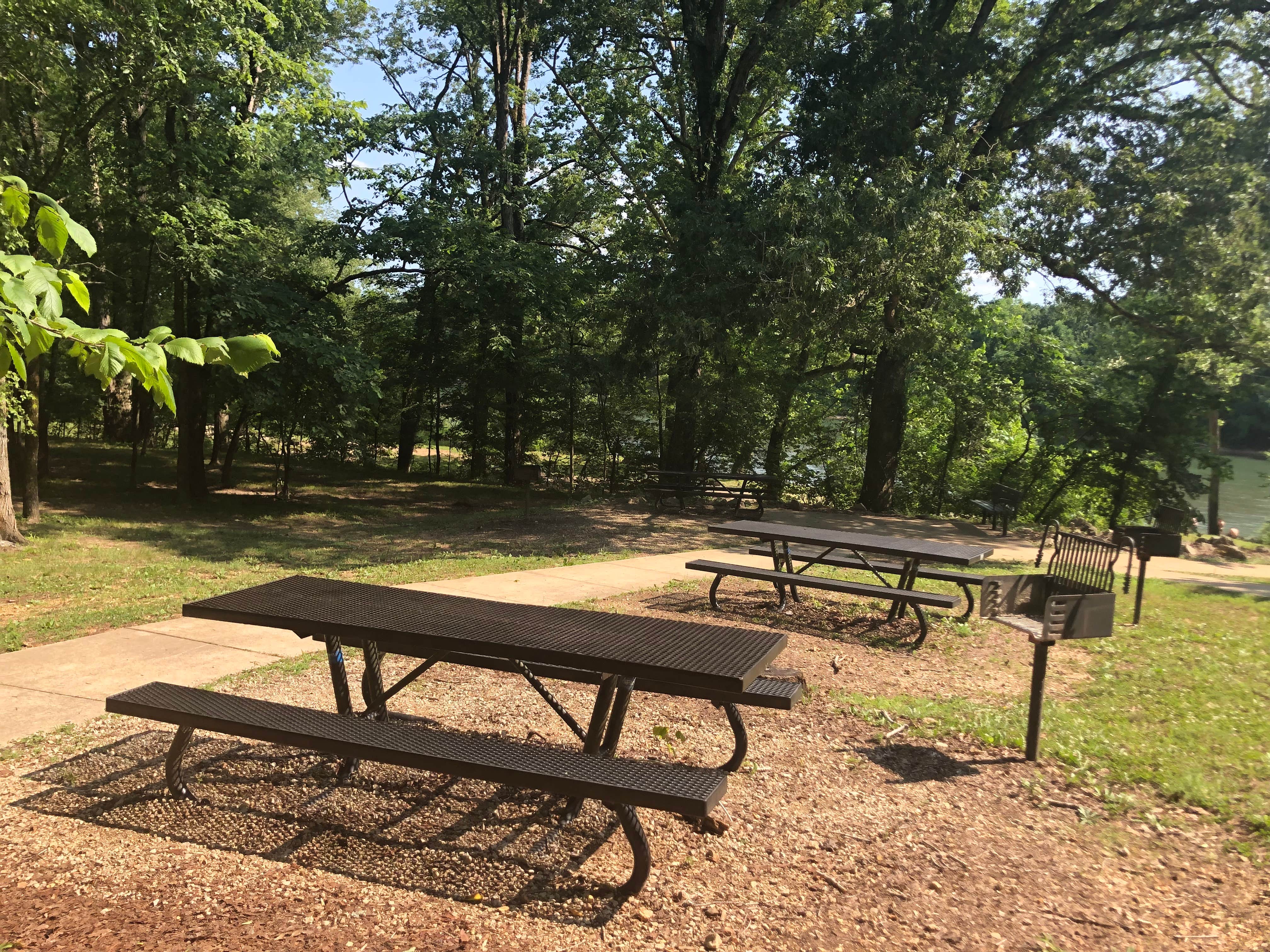 Camper-submitted photo at Deer Leap near Doniphan, MO