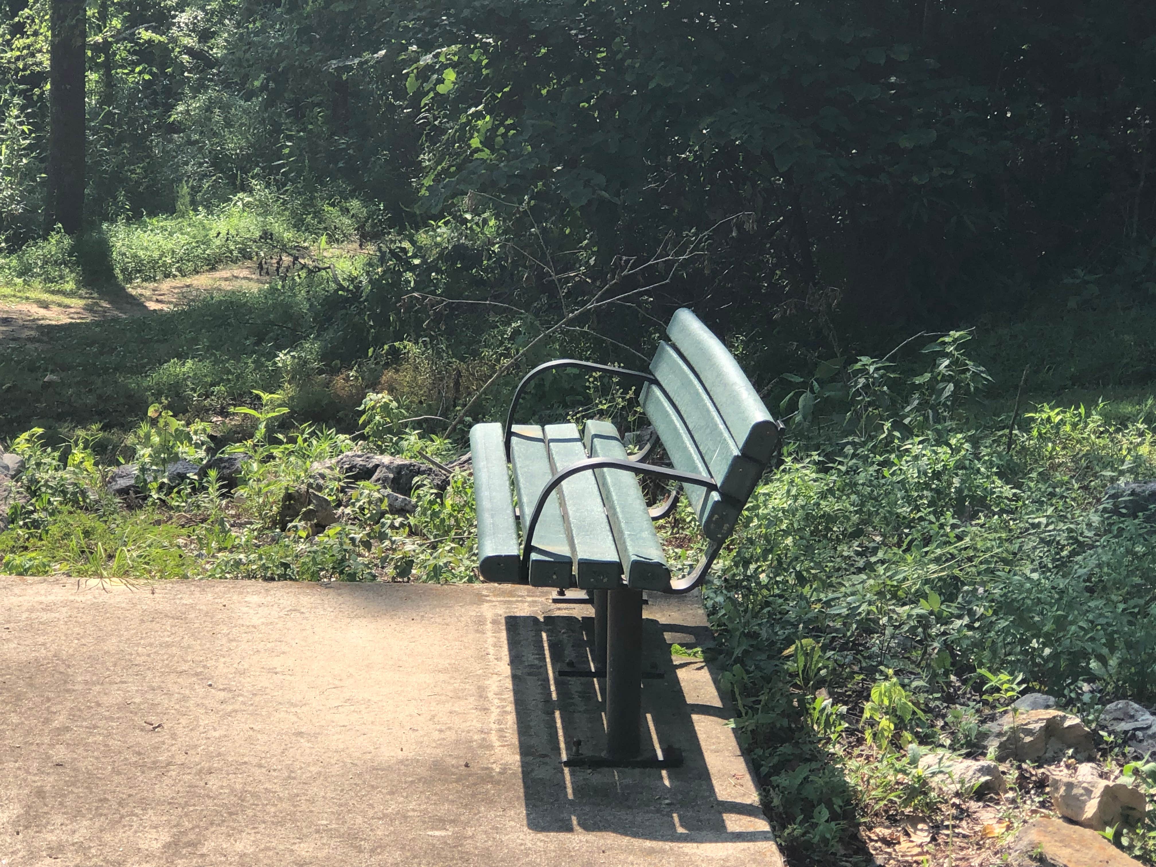 Camper-submitted photo at Deer Leap near Doniphan, MO