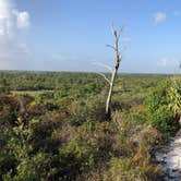 Review photo of Pine Grove Campground — Jonathan Dickinson State Park by Karen , July 11, 2021