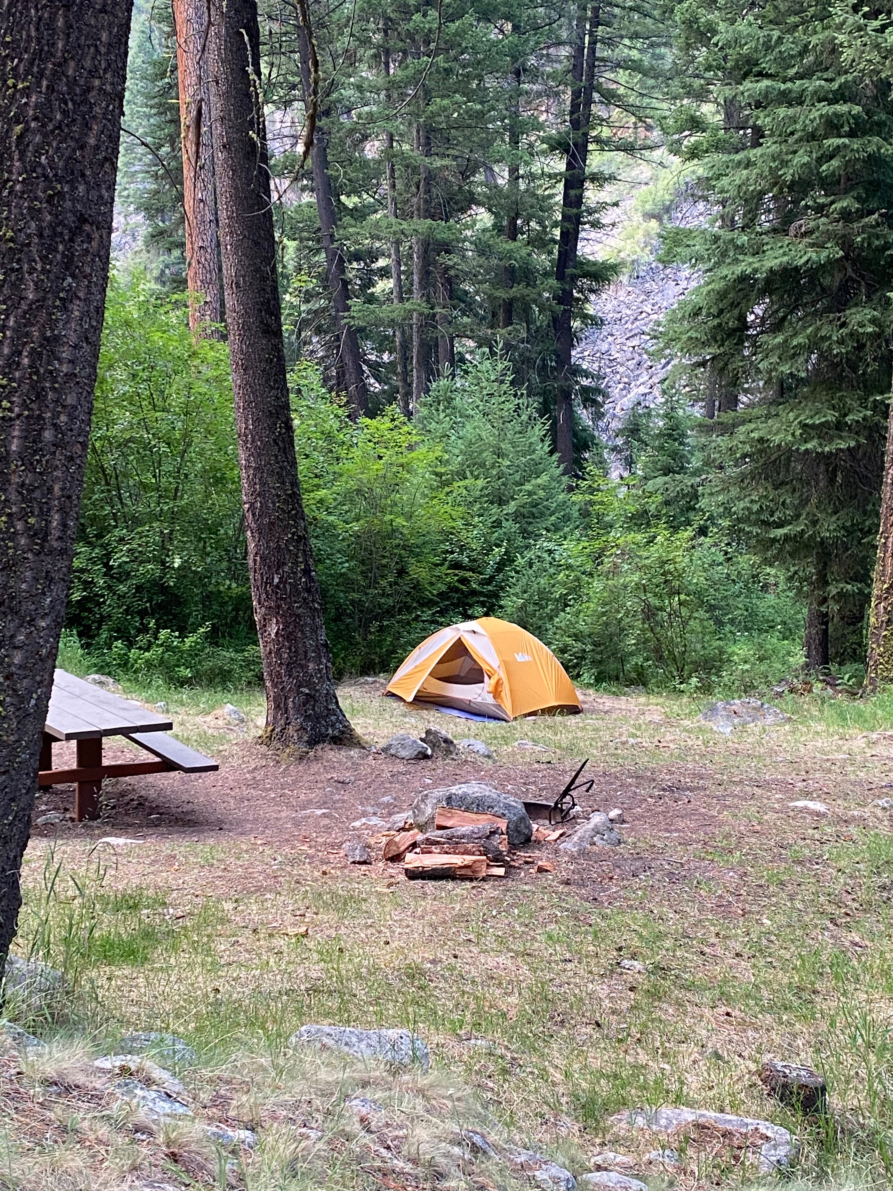 Camper submitted image from Crazy Creek Campground - 1