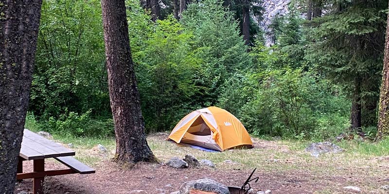 Camper submitted image from Crazy Creek Campground
