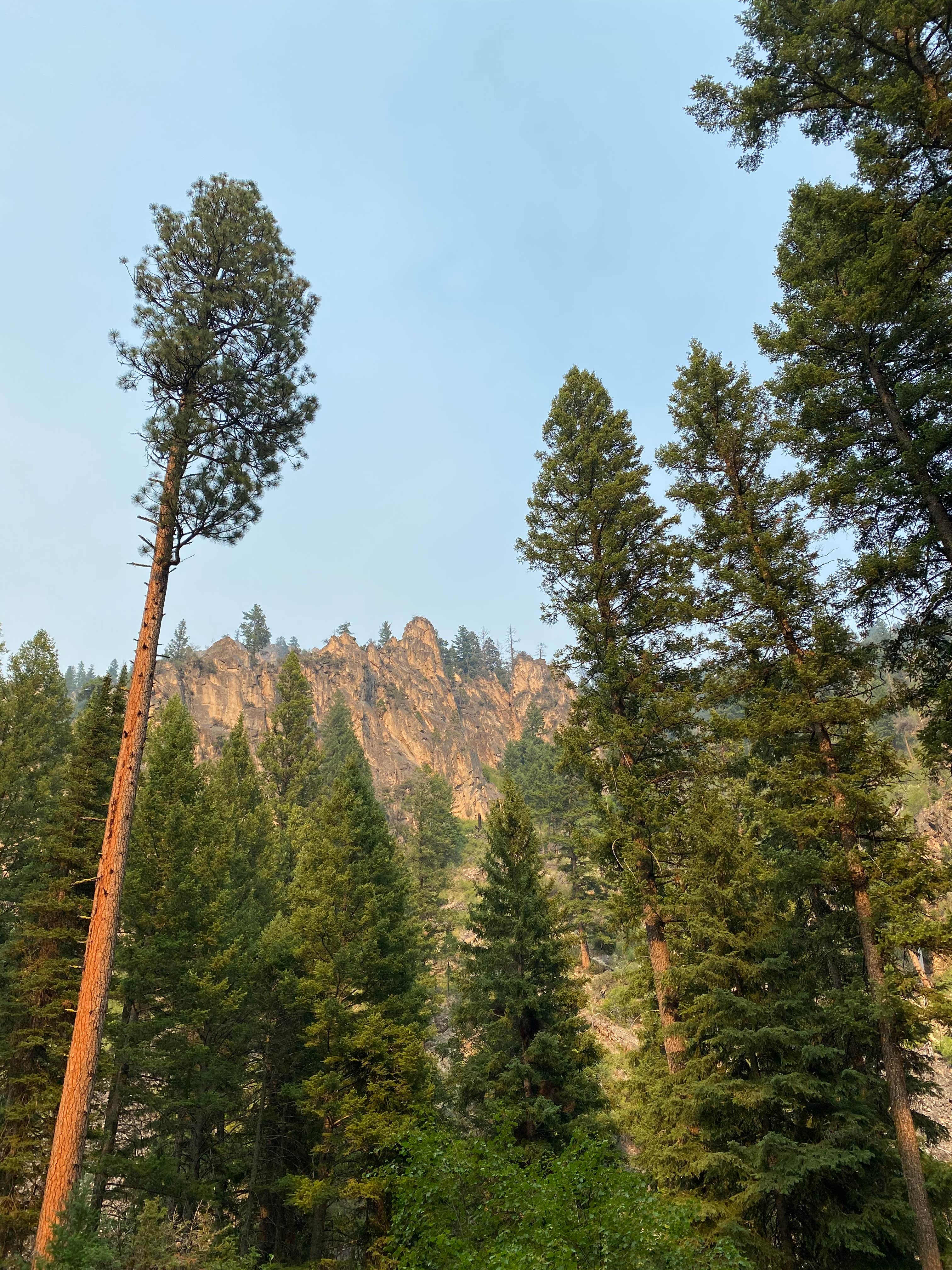 Camper-submitted photo at Crazy Creek Campground near Conner, MT
