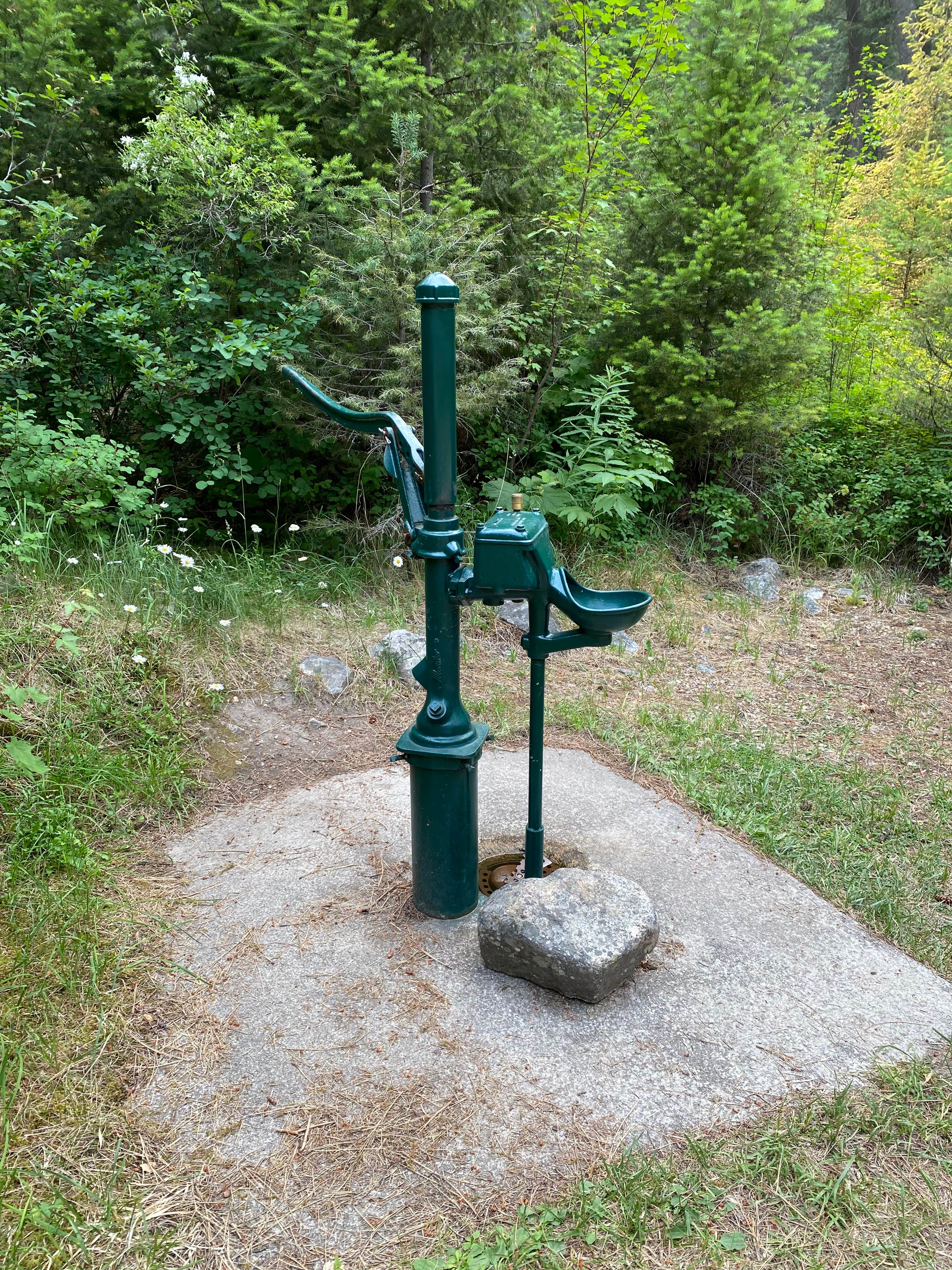 Camper-submitted photo at Crazy Creek Campground near Conner, MT