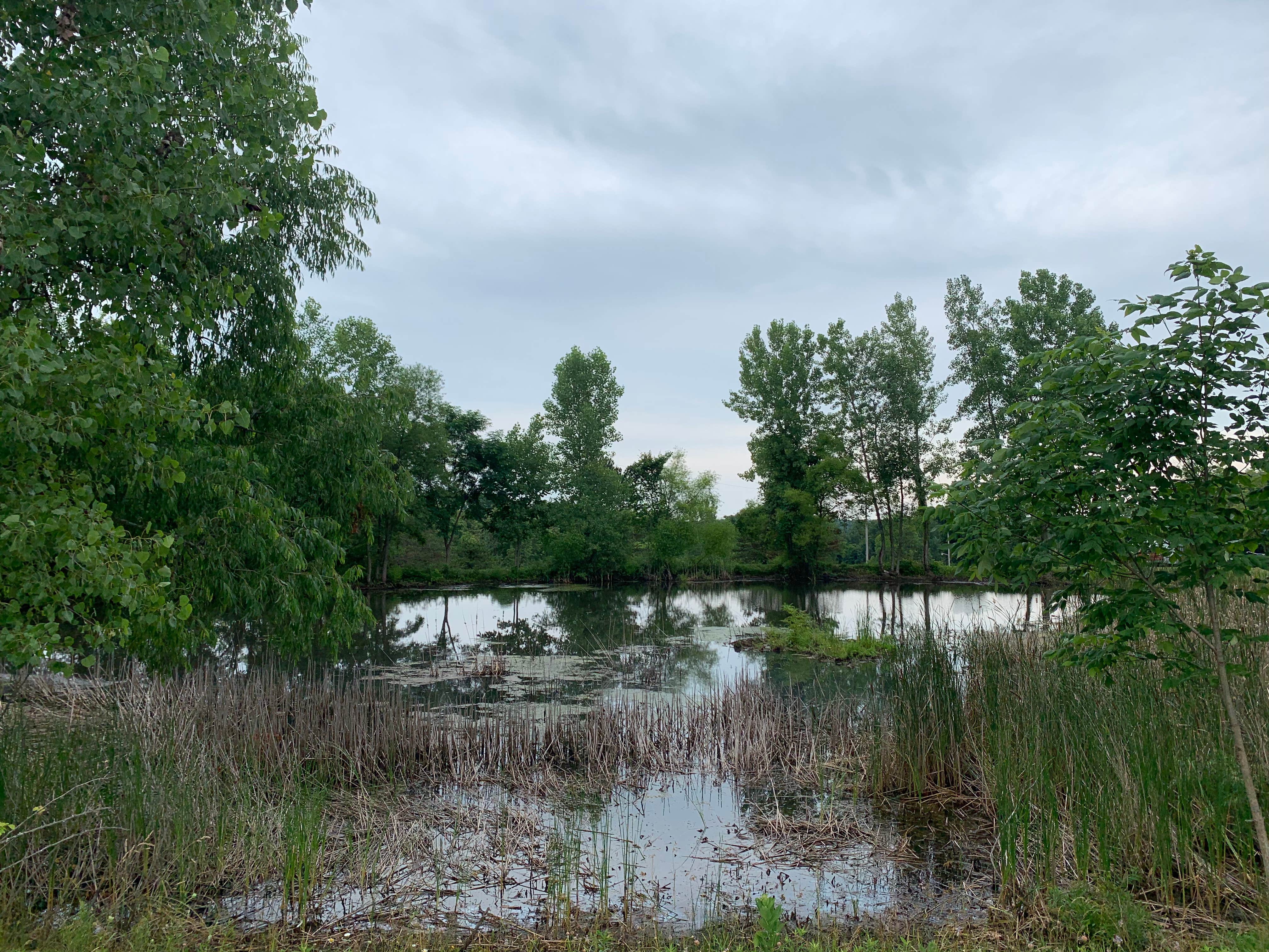 Camper-submitted photo at Zane Shawnee Caverns & Southwind Park near North Lewisburg, OH