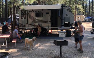 Travis C.'s photo of camping with pets at Tahoe Valley Campground near South Lake Tahoe, CA