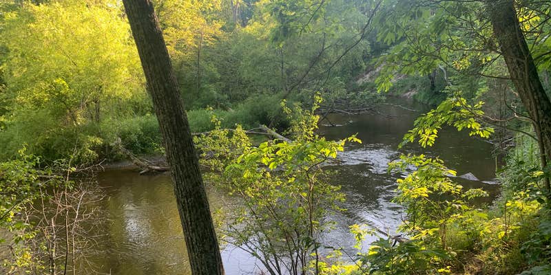 Camper submitted image from Whelan Lake Campground