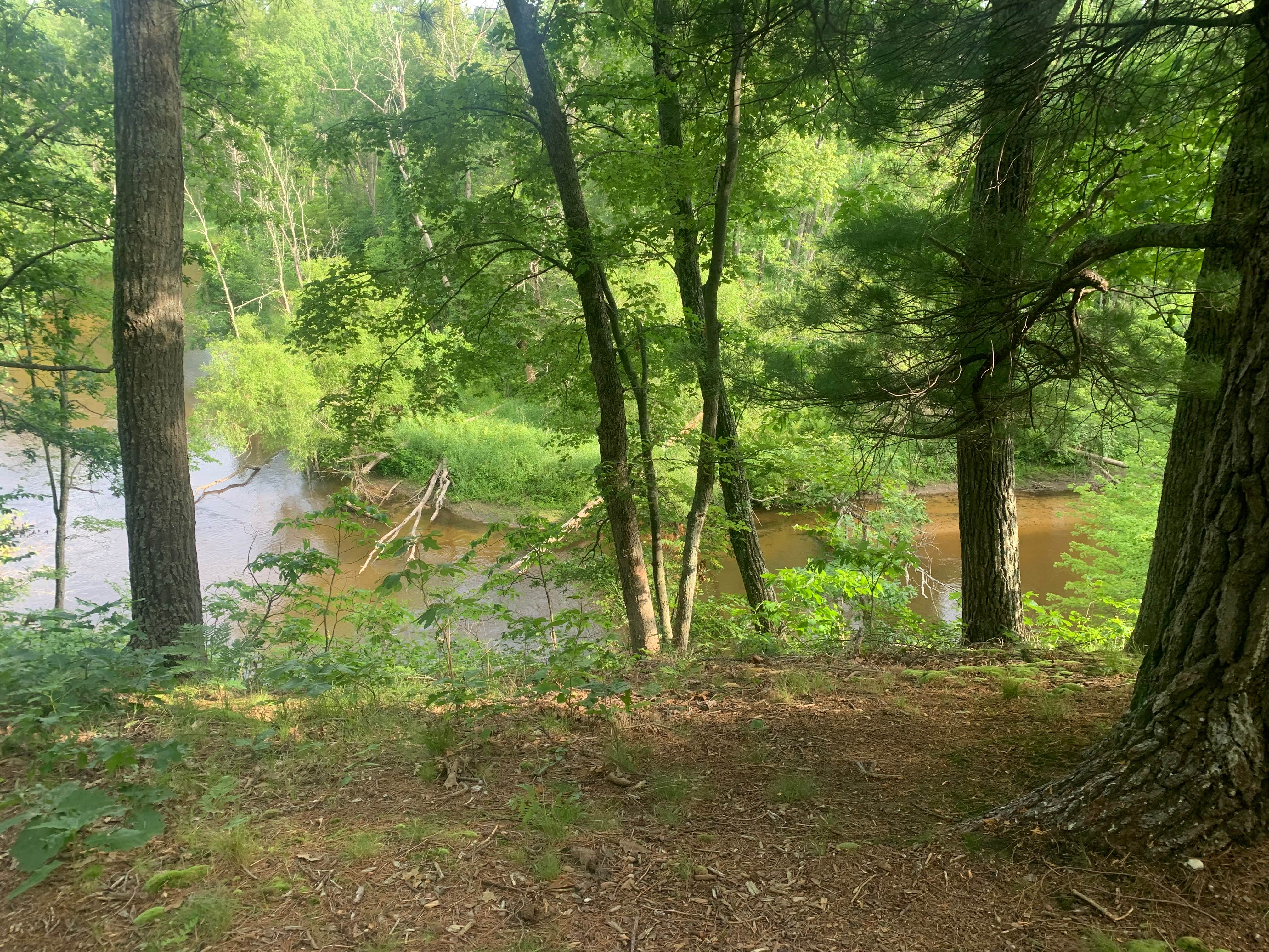 Escape to Wilderness: Whelan Lake's Untamed Beauty