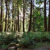 Review photo of Graves Creek Campground — Olympic National Park by Jr And Jade S., July 11, 2021