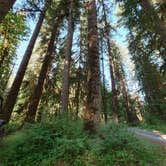 Review photo of Graves Creek Campground — Olympic National Park by Jr And Jade S., July 11, 2021