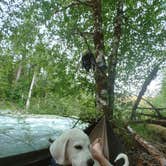 Review photo of Graves Creek Campground — Olympic National Park by Jr And Jade S., July 11, 2021