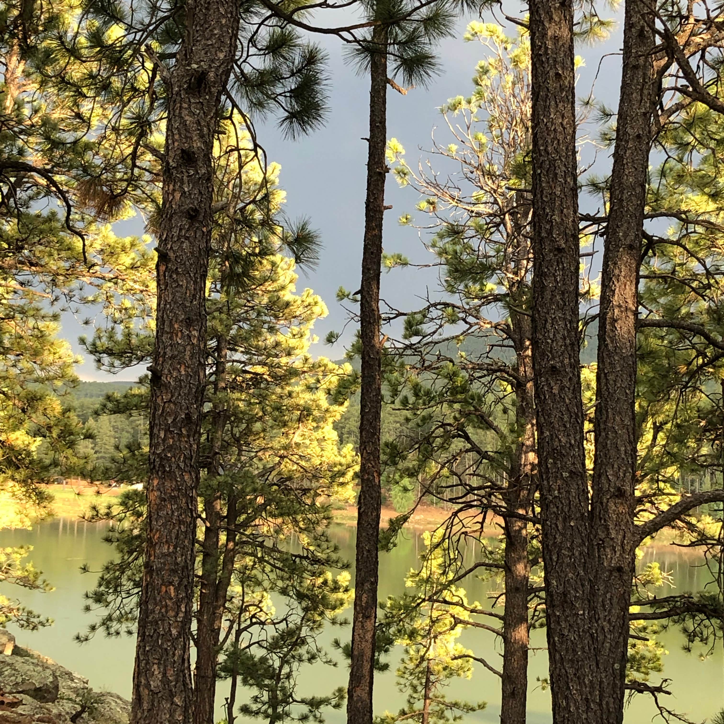 Morphy Lake State Park TEMPORARILY CLOSED Camping The Dyrt