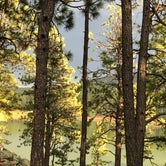 Review photo of Morphy Lake State Park Campground by Karen  N., July 11, 2021
