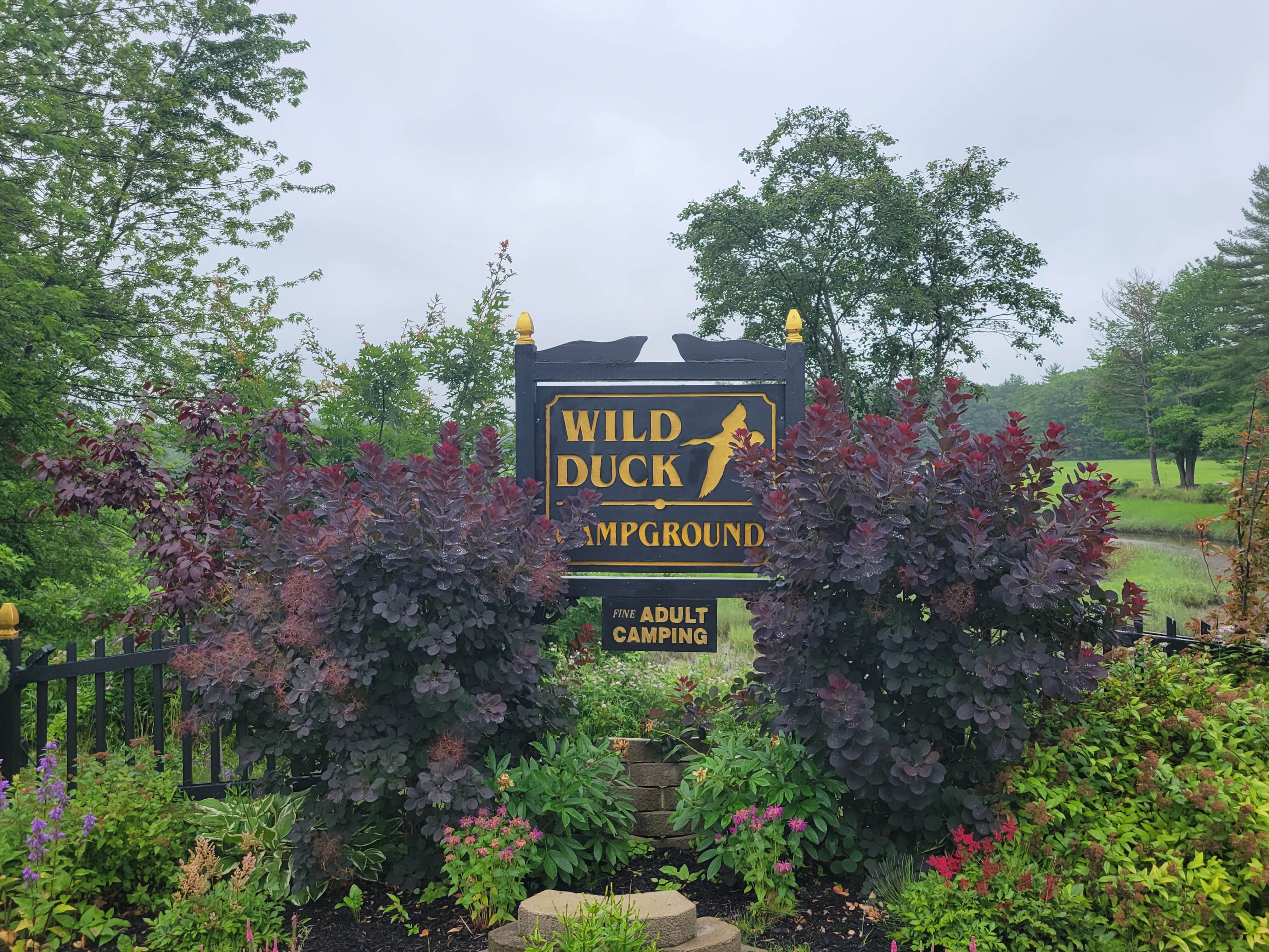 Wild Duck Adult Campground & RV Park | The Dyrt