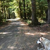 Review photo of La Wis Wis Campground by Kathy B., July 11, 2021