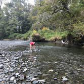 Review photo of Dosewallips State Park Campground by Kathy B., July 11, 2021