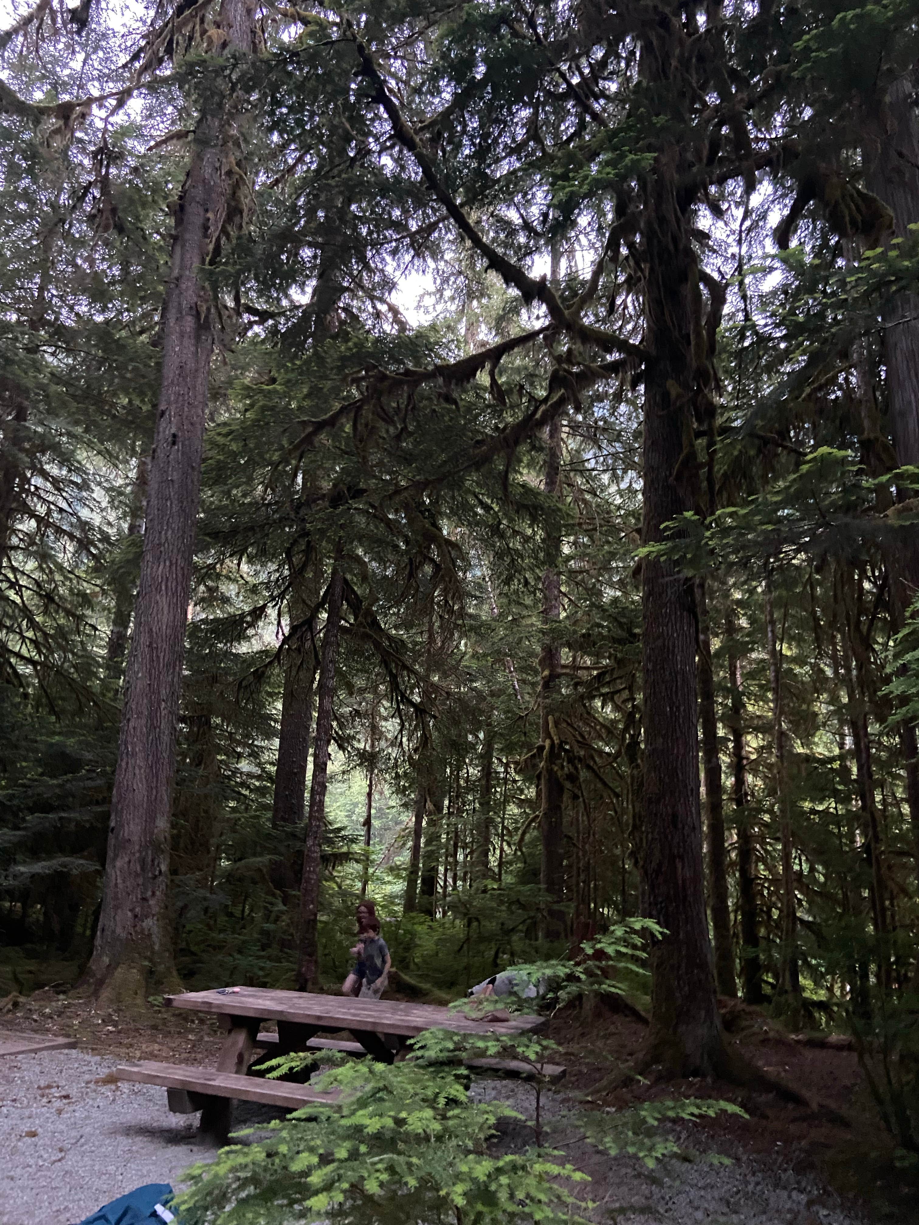 Camper-submitted photo at Mineral Park Campground near North Cascades National Park
