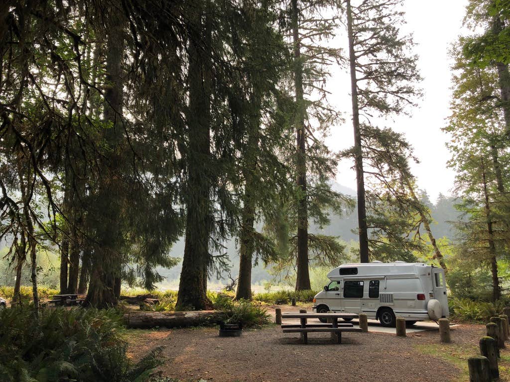 Camper submitted image from Hoh Campground — Olympic National Park - 1