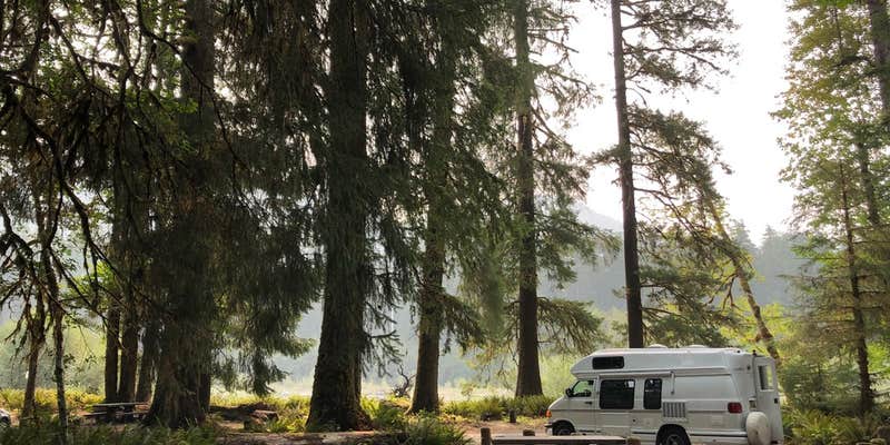 Camper submitted image from Hoh Campground — Olympic National Park