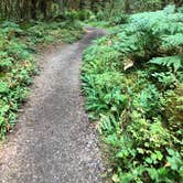 Review photo of Hoh Campground — Olympic National Park by Kathy B., July 11, 2021