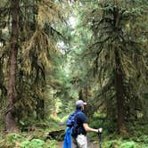 Review photo of Hoh Campground — Olympic National Park by Kathy B., July 11, 2021