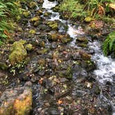 Review photo of Hoh Campground — Olympic National Park by Kathy B., July 11, 2021