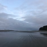 Review photo of Kalaloch Campground - group — Olympic National Park by Kathy B., July 11, 2021