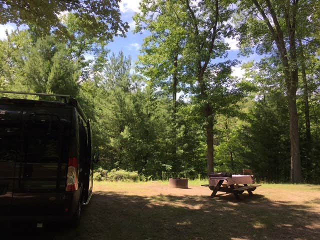 Camper submitted image from Black Creek State Forest Campground - 1