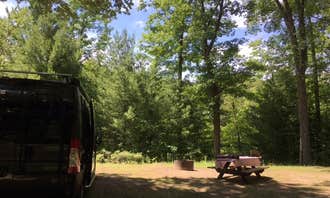Camping near Wixom Lake Camp and Play: Black Creek State Forest Campground, Sanford, Michigan