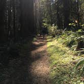 Review photo of Millersylvania State Park Campground by Michael W., June 14, 2018