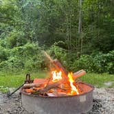 Review photo of Middle Fork Campground — Natural Bridge State Resort Park by Heidi J., July 11, 2021