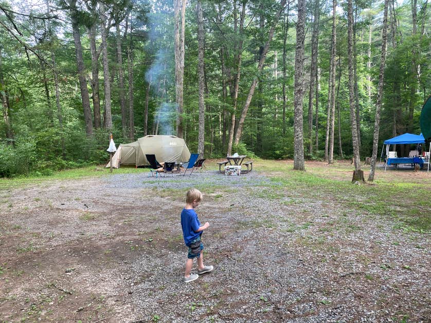 Moncove Lake State Park Camping The Dyrt