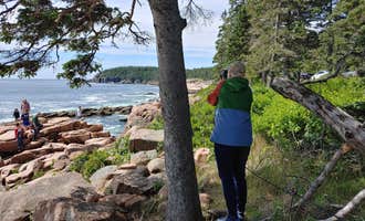 Camping near Seawall Campground — Acadia National Park: Smuggler's Den Campground, Southwest Harbor, Maine