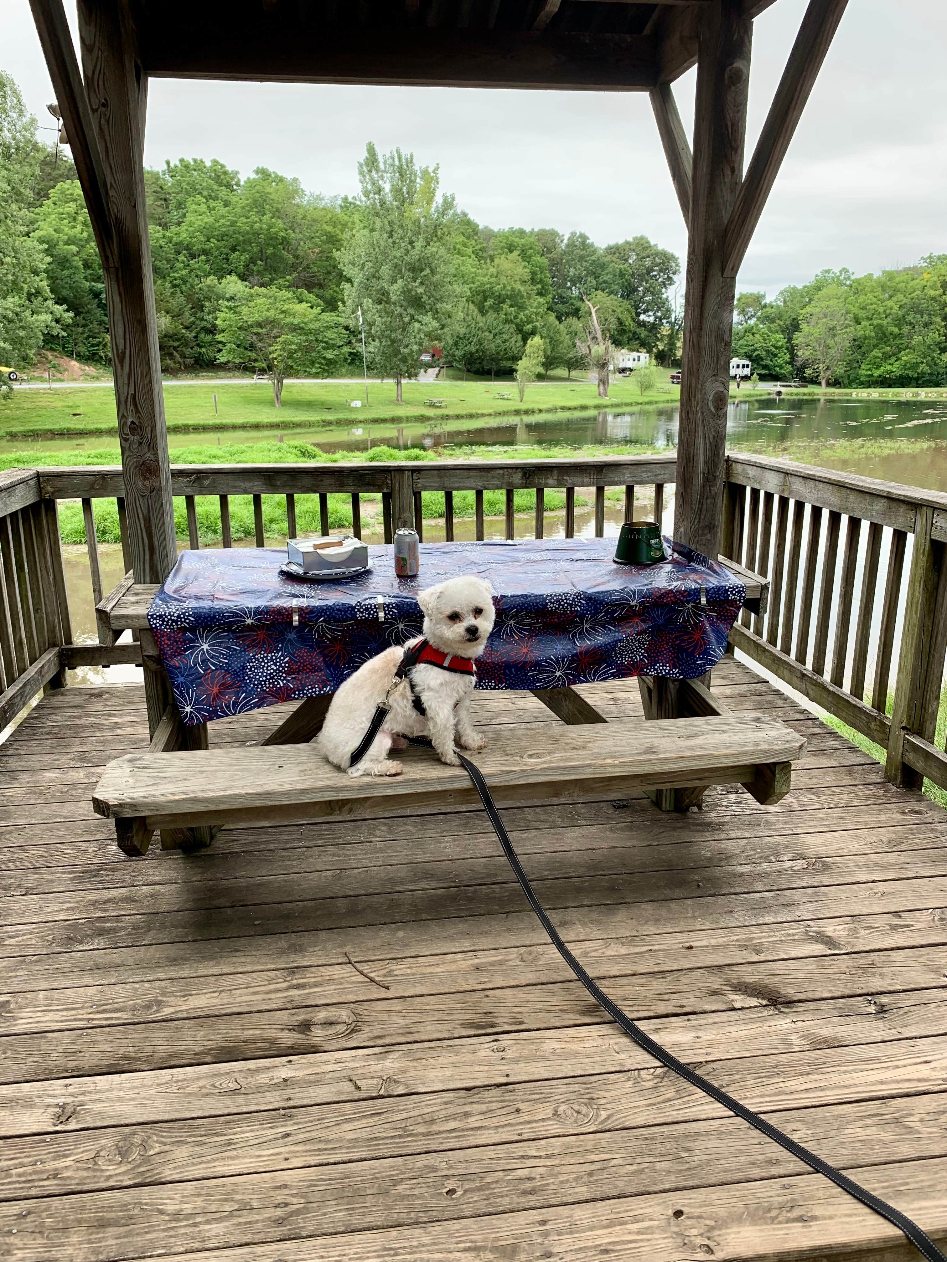 Camper-submitted photo at Walnut Hills Campground & RV Park near Buchanan, VA