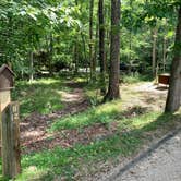 Review photo of Sherando Lake Campground by Laure D., July 12, 2021