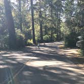 Review photo of Jessie M. Honeyman Memorial State Park Campground by Josh K., June 14, 2018