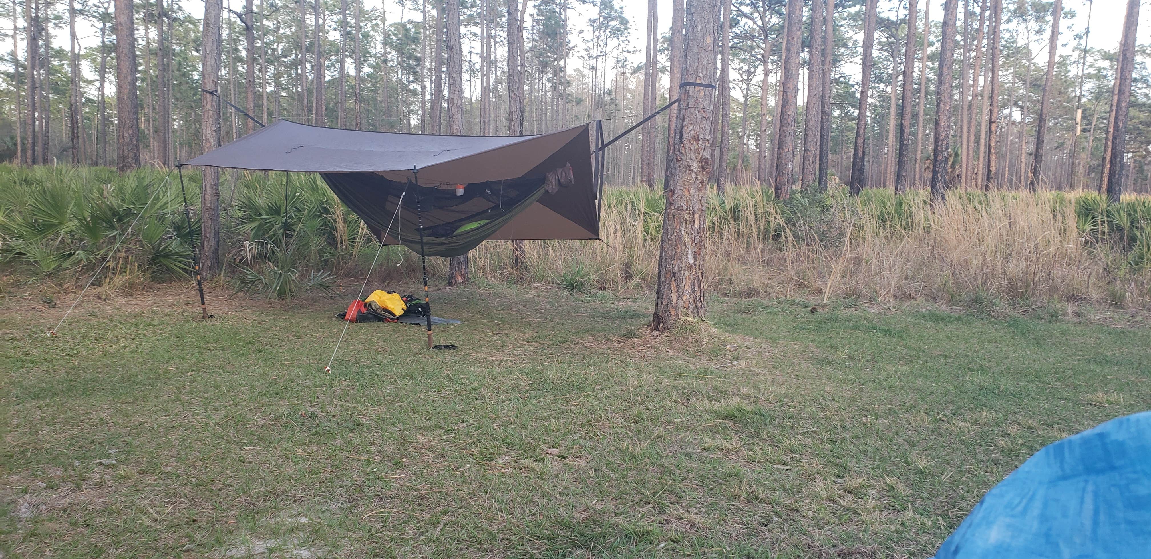 Backpacker76's photo at Colt Creek State Park Campground near Auburndale, FL