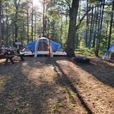 Review photo of Spring Lake State Forest Campground by Christopher P., July 9, 2021