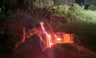 Camping near Almont Campground: Spring Creek Campground, Almont, Colorado