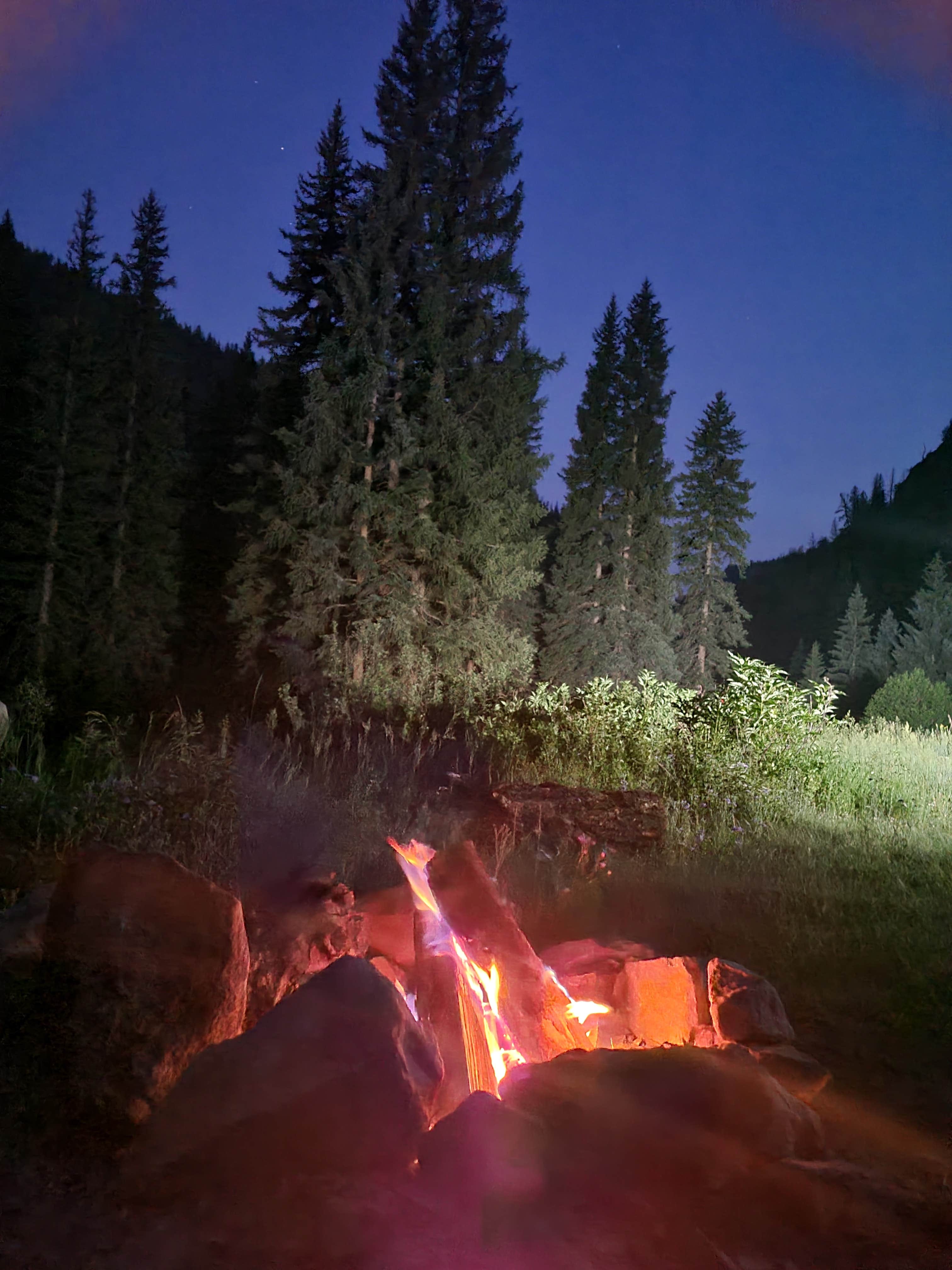 Escape to Serenity: Colorado's Spring Creek Campground