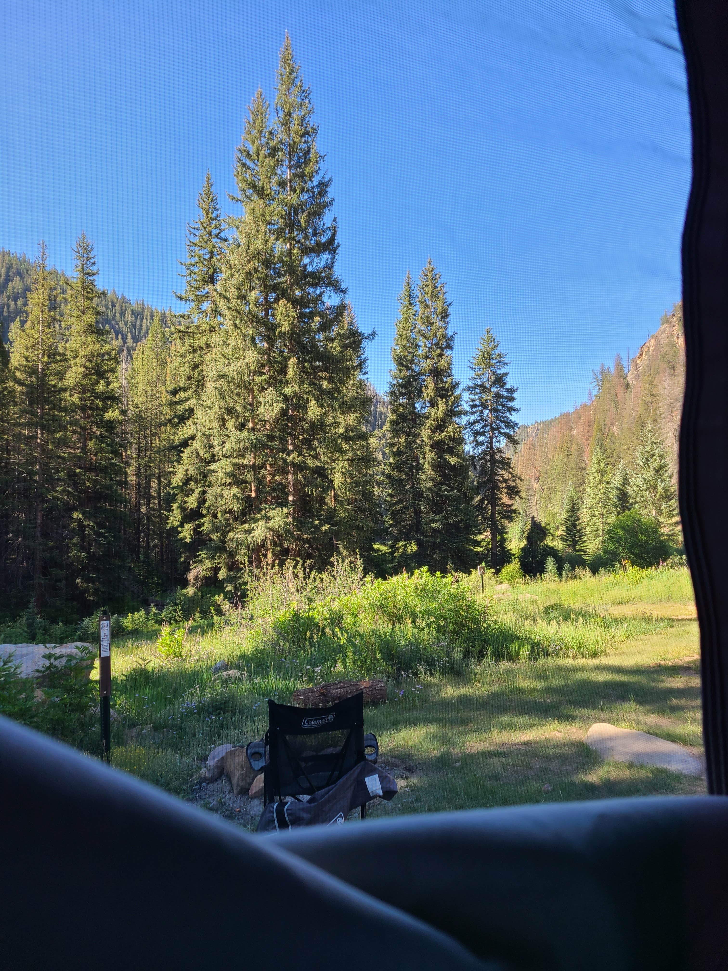 Camper submitted image from Spring Creek Campground - 2